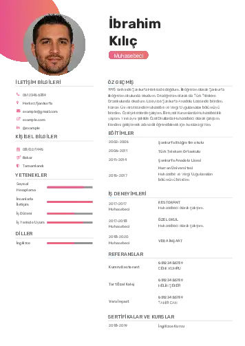 cv indir